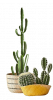 related1